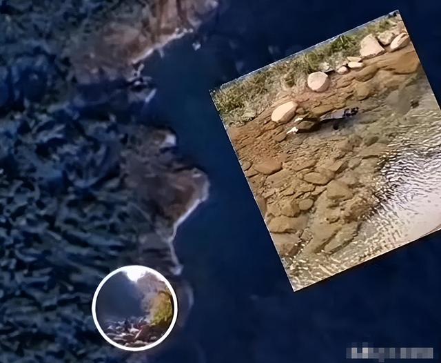 温州爬山小哥遗体找到了，遗体姿态
诡异！救济队：这水淹不逝世
人