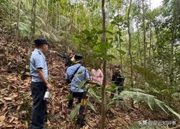 古迹！8岁失联男童山林走丢6天后获救！全村感恩设宴谢搜救英雄