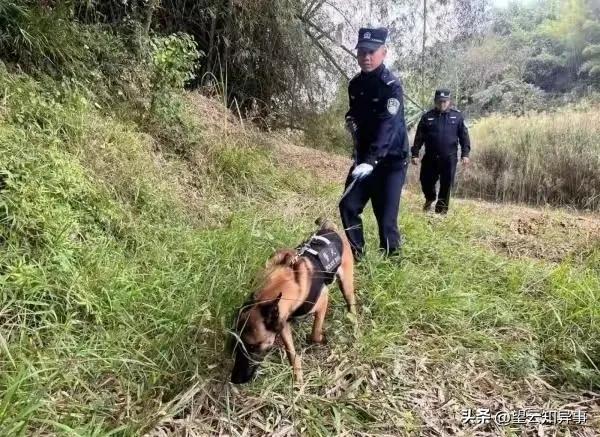 古迹！8岁失联男童山林走丢6天后获救！全村感恩设宴谢搜救英雄