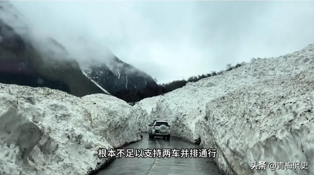 2男1女开救护车旅游后续：多方回应，男子身份曝光，难怪如此嚣张