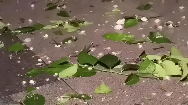 北京昨晚冰雹年夜

如鸽子蛋！行人冒雨骑车被砸，有车辆桥下躲雹致交通拥堵