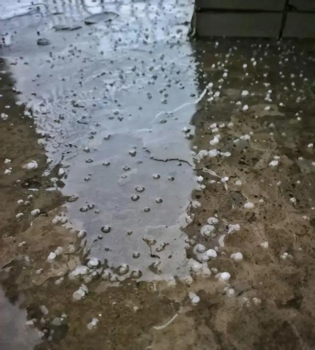北京昨晚冰雹年夜

如鸽子蛋！行人冒雨骑车被砸，有车辆桥下躲雹致交通拥堵