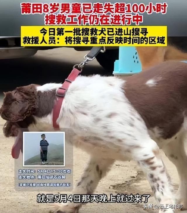 福建8岁男童失落

踪第十一天，照旧没想到，令人恶心的一幕出现

了！