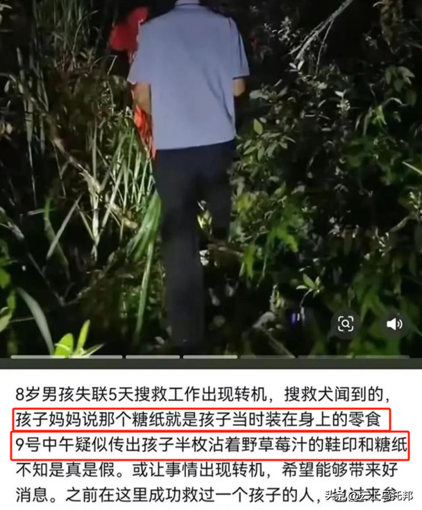福建8岁男童失落

踪第十一天，照旧没想到，令人恶心的一幕出现

了！