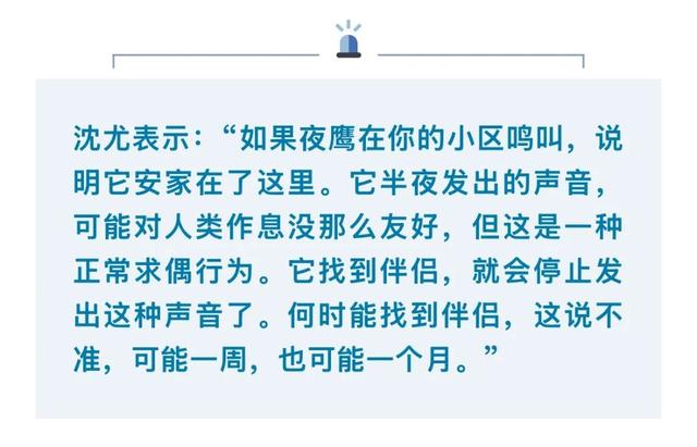 吵到无法入眠！成都多地深夜惊现“哒哒”声，“真凶”竟是它