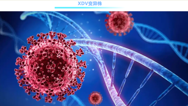一周内逝世
亡31人！喷鼻
港发明


逃逸强、传染高的新冠病毒变异株，阳性比率创频年
新高！澳门也提早进入盛行岑岭
期