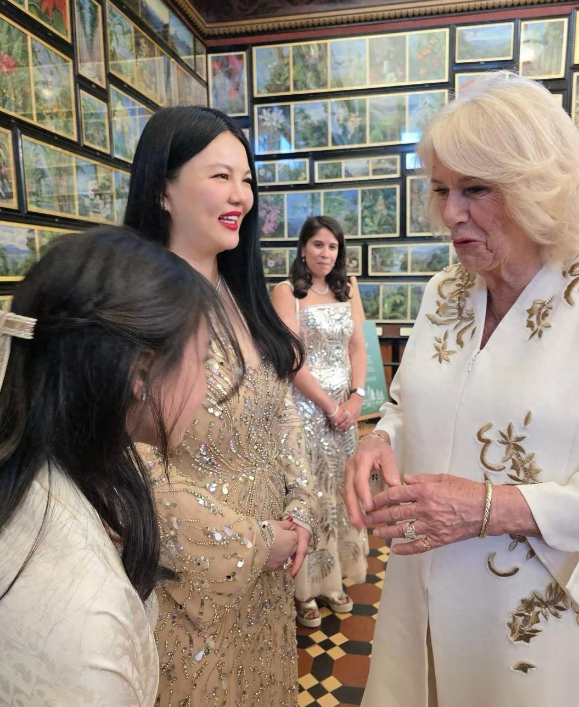 李湘带女儿面见英国皇室，对王后赔笑遭白眼，连发四条动态被群嘲