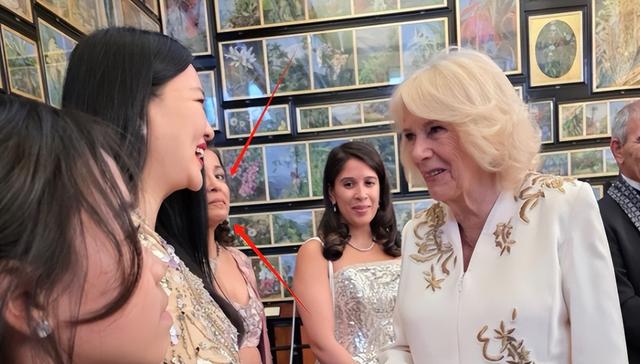 李湘带女儿面见英国皇室，对王后赔笑遭白眼，连发四条动态被群嘲
