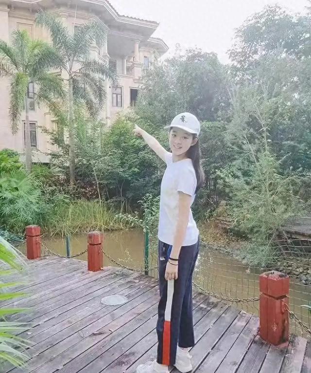黄杨钿甜百口要跑路？看到一墙奢侈

品，终于有人向中央巡视

组举报
