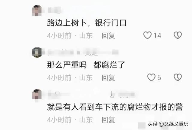 痛心 货拉拉司机车内去世

亡数日 有液体流出才被发明
 知情人泄漏
更多