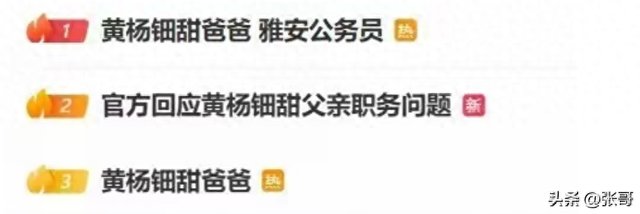 不怕查？成人礼戴230万耳饰
后续：父亲连夜变更法人，坑爹新高度