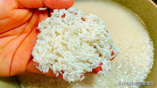 端午包粽子，糯米用“长粒”还是“圆粒”？口感差异不小，别选错