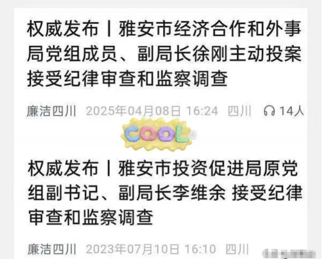 局势进级
！官媒问责黄爸原单位调查太纰漏
，网友曝黄妈或才是年夜
佬