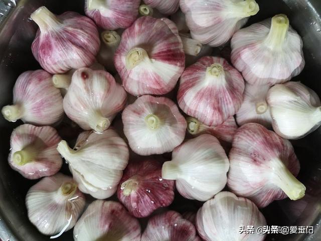 腌糖蒜，最忌只放糖和醋，牢记1放2法门，糖蒜甜喷鼻
多汁，越嚼越脆