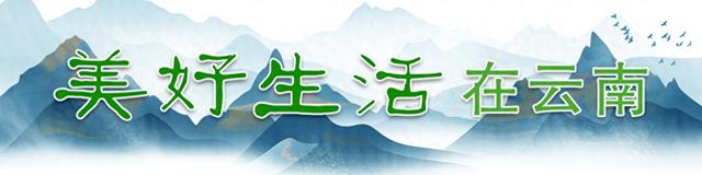 雪山脚下的一杯咖啡，就是诗和远方｜有一种叫云南的生计
之365天