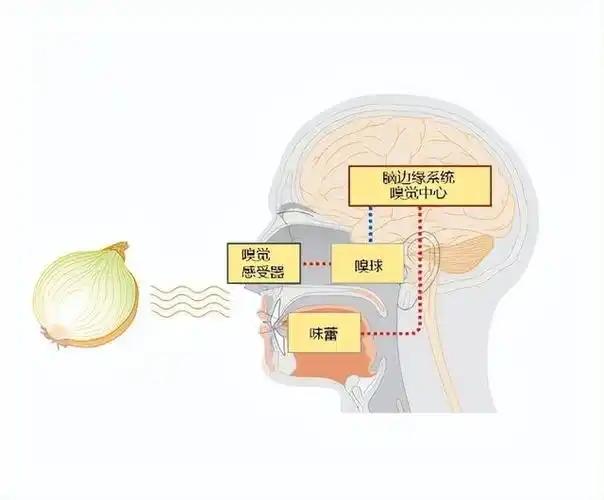 新冠再抬头？可能不发烧！提醒
：出现5个症状，这些人需谨防
逝世
守