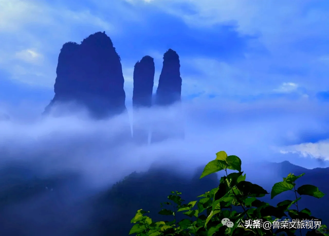 浙江最鲜辣小城，单凭“鸭头”就成为美食顶流！端午去打满分！