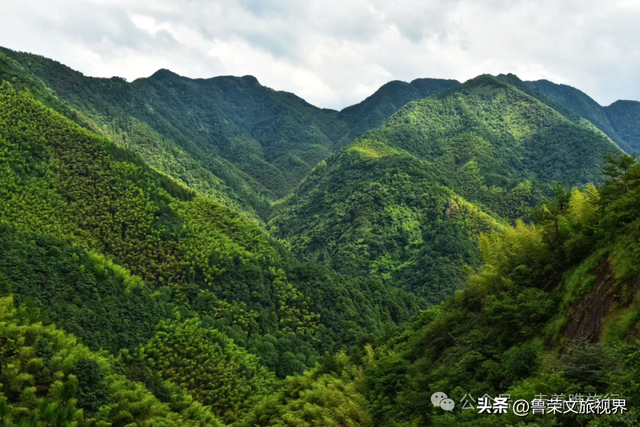 浙江最鲜辣小城，单凭“鸭头”就成为美食顶流！端午去打满分！