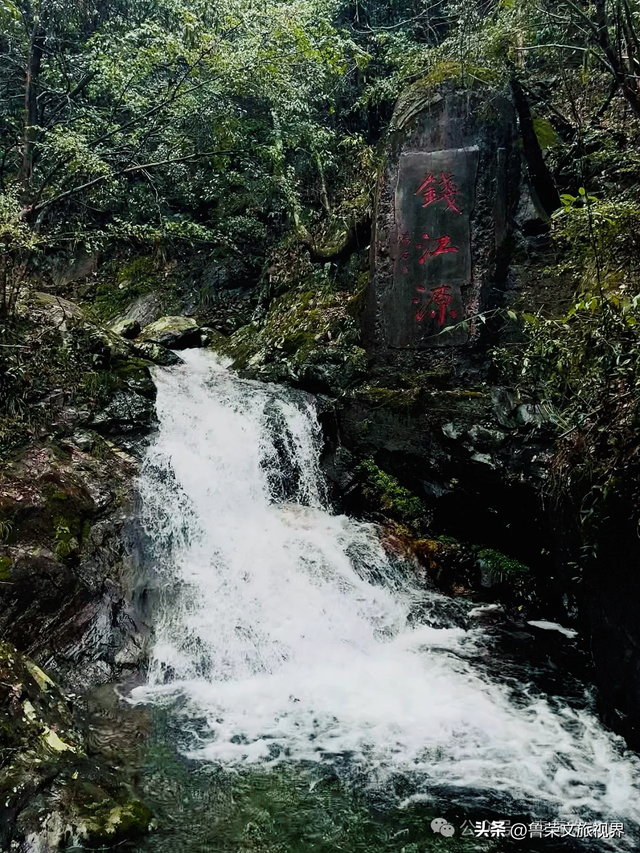 浙江最鲜辣小城，单凭“鸭头”就成为美食顶流！端午去打满分！