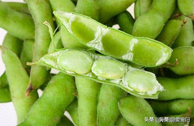 毛豆和它是绝配，高钾高钙高卵白，顺手一炒鲜香脆爽，不懂吃可惜