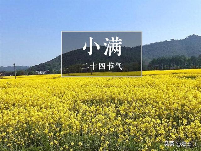 小满，记住“吃三样，做二事，忌一事”习俗，全家顺遂又安康