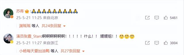 朱媛媛去世！辛柏青走漏
老婆临终状况
，12字表心境
，难怪相爱32年