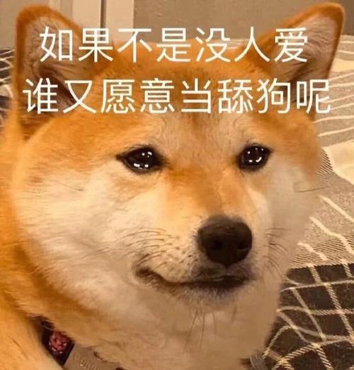 中国迎来最惨521，舔狗经济彻底崩盘！网友：垃圾桶里礼物都少了