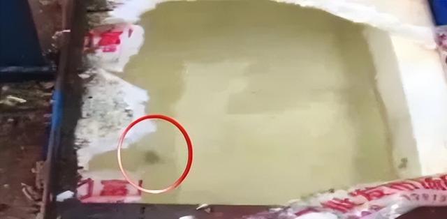 看完不敢喝了！深圳街头经常出现！网友：刚买过