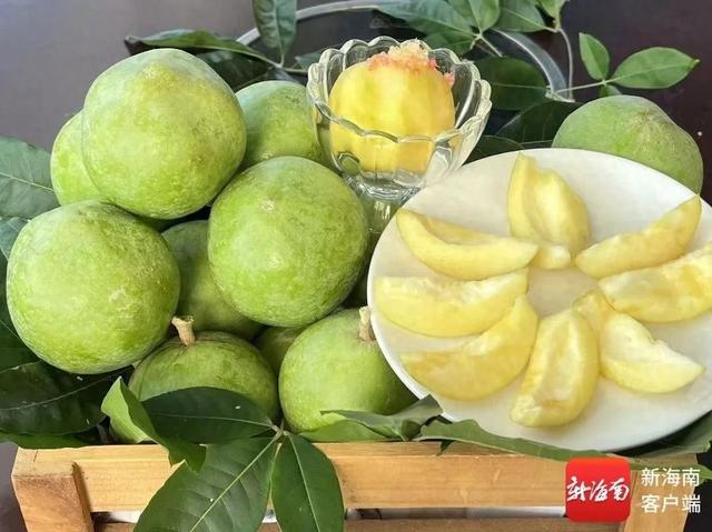 “树上冰淇淋”在琼海上市，12种口味等你来尝