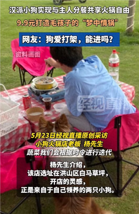 武汉现人狗分餐共享火锅
店，店主
：餐具是离开
的