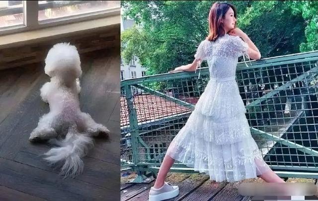赵丽颖深夜发文回应恋情，年夜
骂微博，网友：年夜
明星骂脏话本质
太低