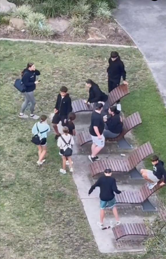 中国留学生在澳被打后续：被留学生堵到哭，马路上求饶
，细节曝光