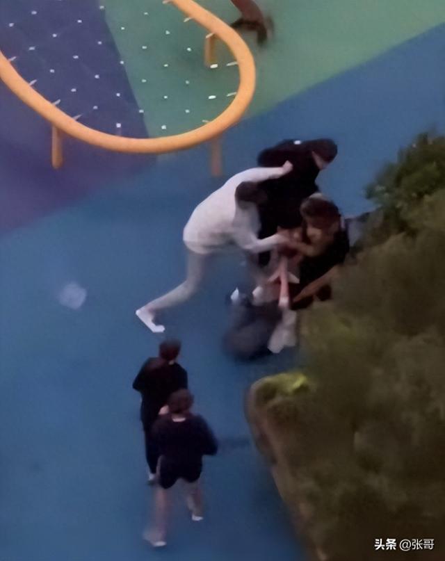 中国伉俪
在澳洲被打后续，被留门生堵到哭，跪地讨饶，细节曝光