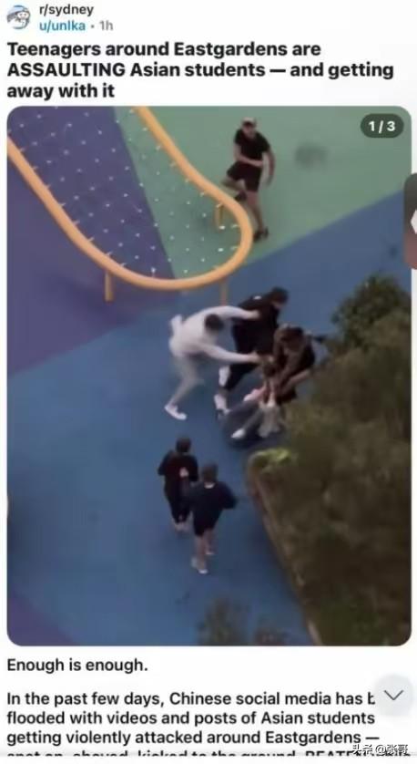 中国伉俪
在澳洲被打后续，被留门生堵到哭，跪地讨饶，细节曝光