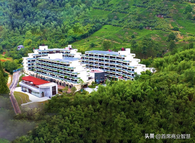 又一康养巨擘

暴雷！高达30万会费，数万万元投资款恐血本无归