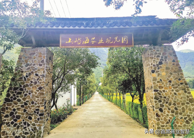 又一康养巨擘

暴雷！高达30万会费，数万万元投资款恐血本无归