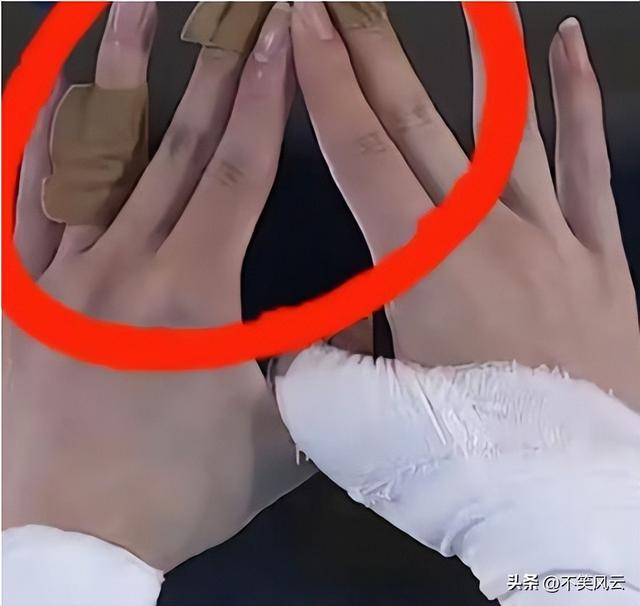 全红婵退赛！浩繁代言品牌沉默，万家乐却用“25字”让本身赢麻了