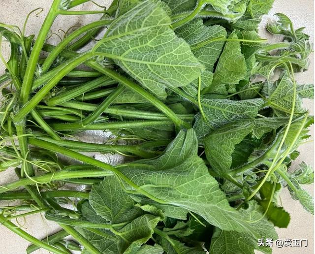 端午前后，遇到这菜别手软，一清热解暑、二明亮眼睛、三清肺戒烟