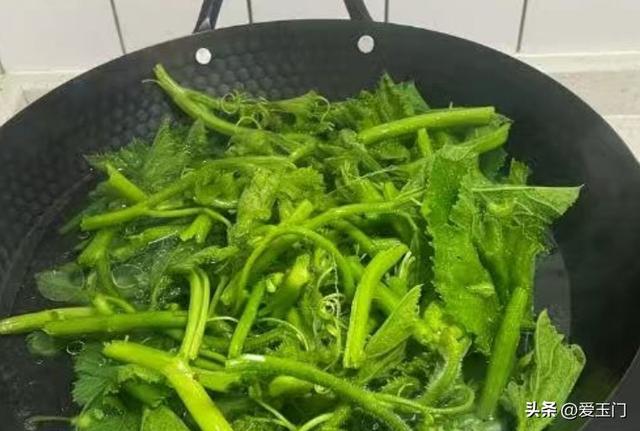 端午前后，遇到这菜别手软，一清热解暑、二明亮眼睛、三清肺戒烟