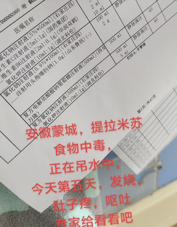 提拉米苏中毒后续！有毒植物做装饰，女网红销号，黑料遭全网怒扒