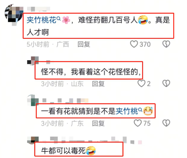 提拉米苏中毒后续！有毒植物做装饰，女网红销号，黑料遭全网怒扒
