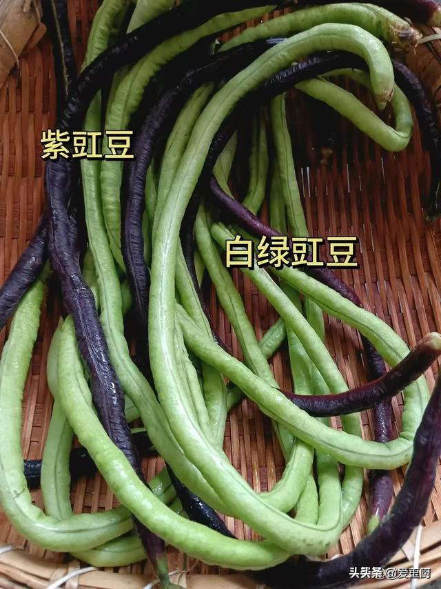 端午将至！除了粽子，这3样传统美食别忘端上桌，福泽
满满过佳节