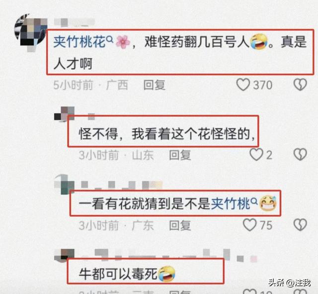 “夹竹桃花”提拉米苏，使200人发烧住院，老板娘这回完犊子了