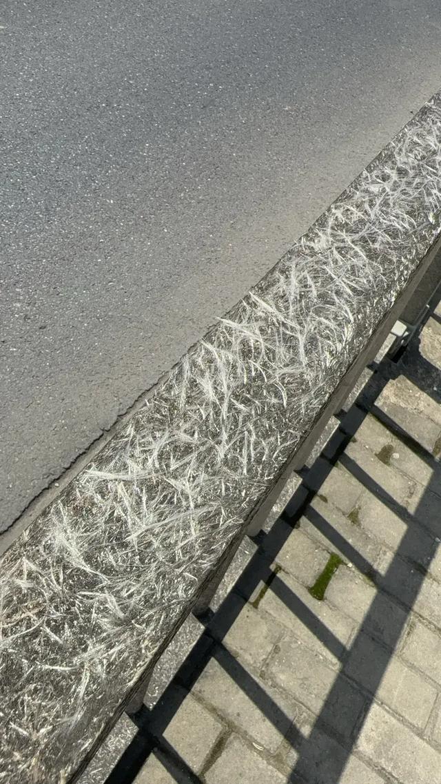 太突然！上海多区已发明
，街头
涌现
“栏杆刺客”，女子瓦解：去医院也清理不清洁
