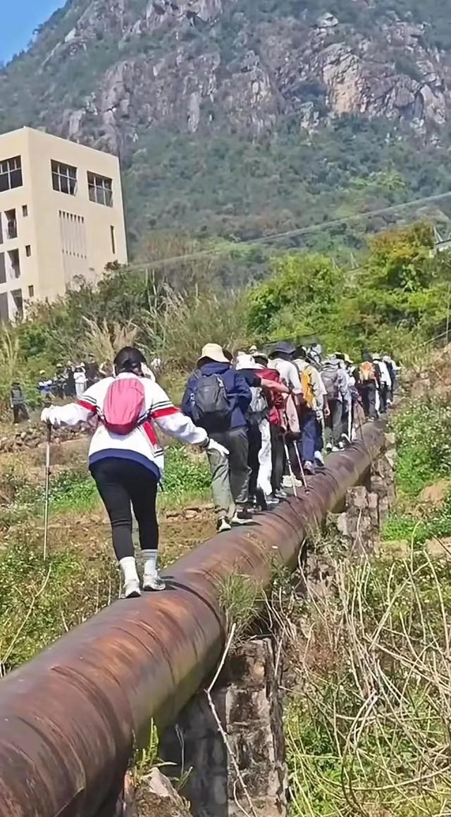 女子拍照坠崖后续！俩儿子当场崩溃，知情人曝黑幕：她胆量太大了