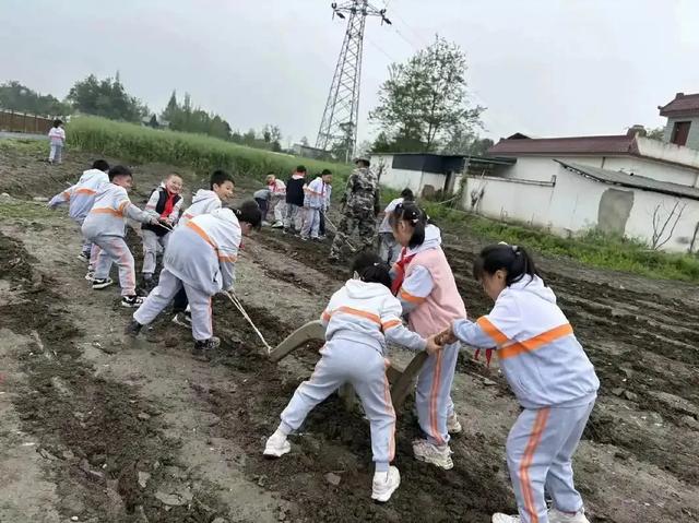 钱没了，孩子毁了：中国度
长，该醒了