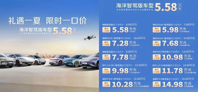 赚300亿但欠了5000亿，比亚迪真是下一个“恒年夜
”吗？