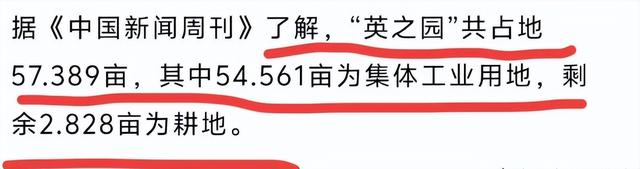违建“英之园”修了11年，拆除只用了一夜，缘故起因流出，果然不简单
