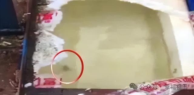 太恶心！网友：看完不敢喝了！江阴陌头也有......