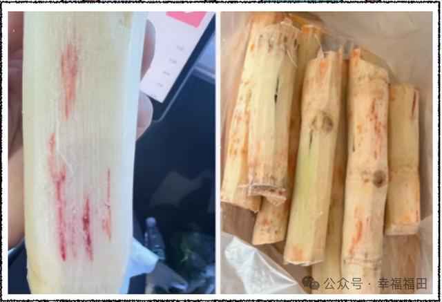 太恶心！网友：看完不敢喝了！江阴陌头也有......